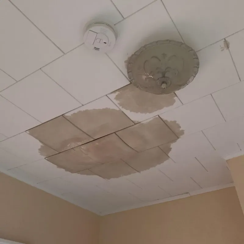 Ceiling Water Damage Repair in Saint Johns, MI
