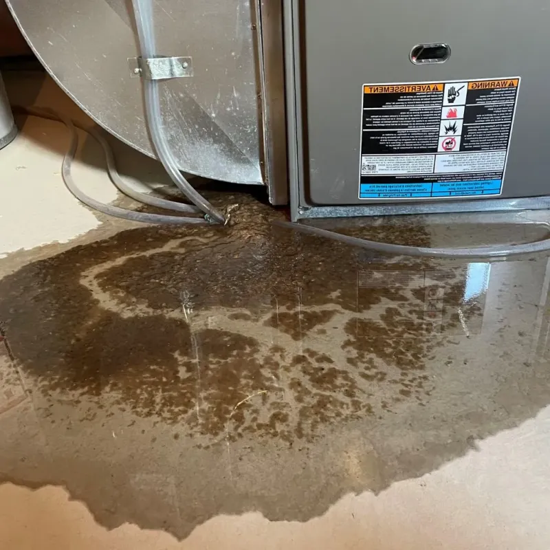 Pipe Burst and Leak Restoration in Saint Johns, MI