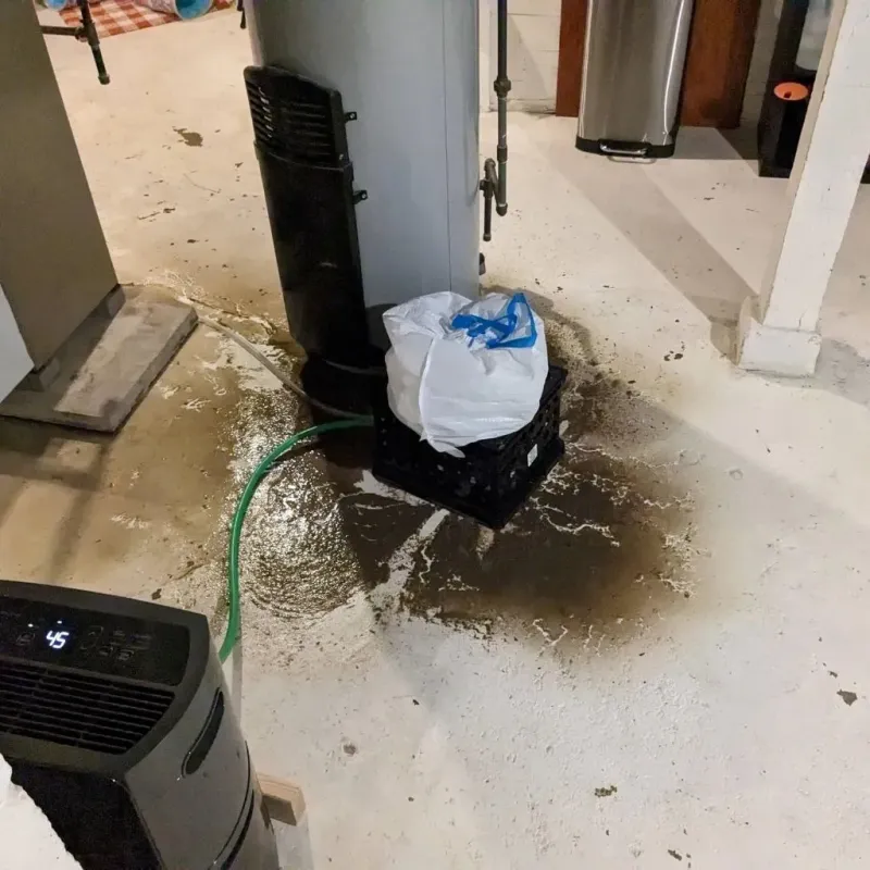 Sewage Backup Cleanup Service in Saint Johns, MI